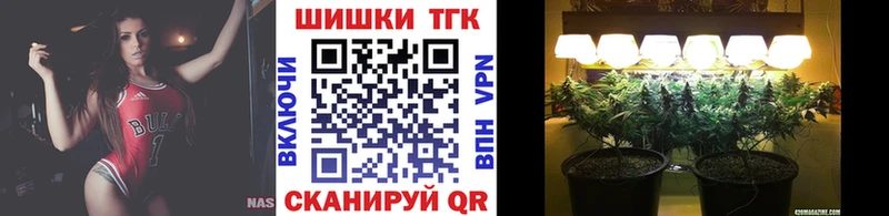 Конопля гибрид  Вязьма 